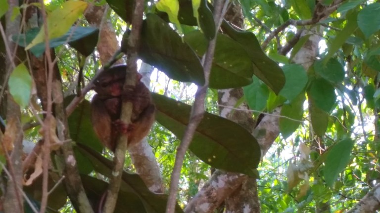 2016-03-17 06.59.05.jpg