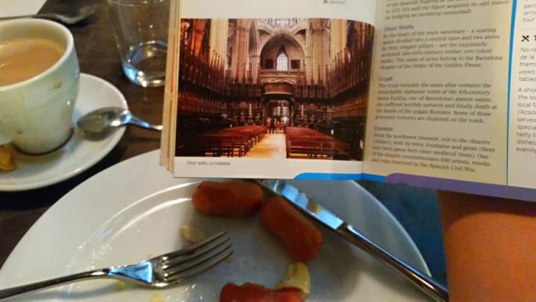 12009639_10206726793264721_6167625452355439130_n[1]