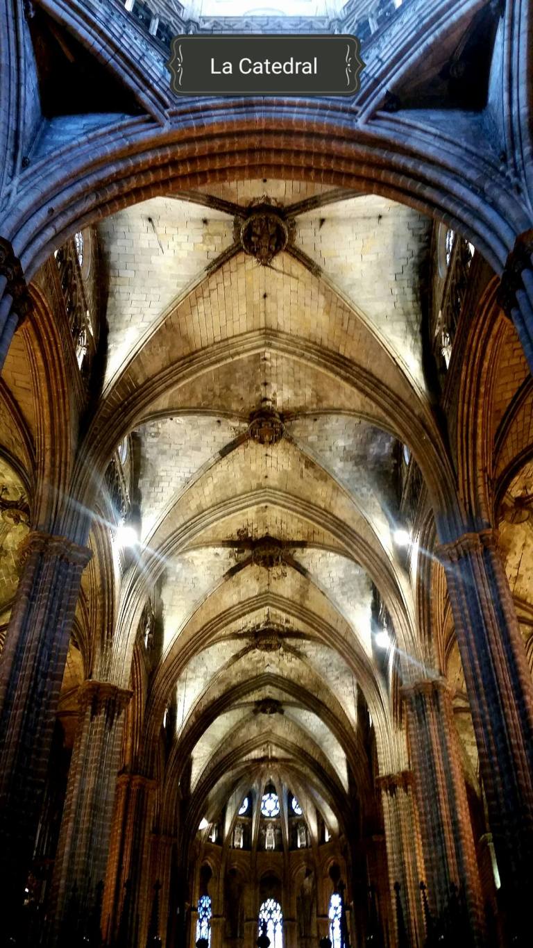 12017710_10206760559708861_1840441106694394982_o[1]